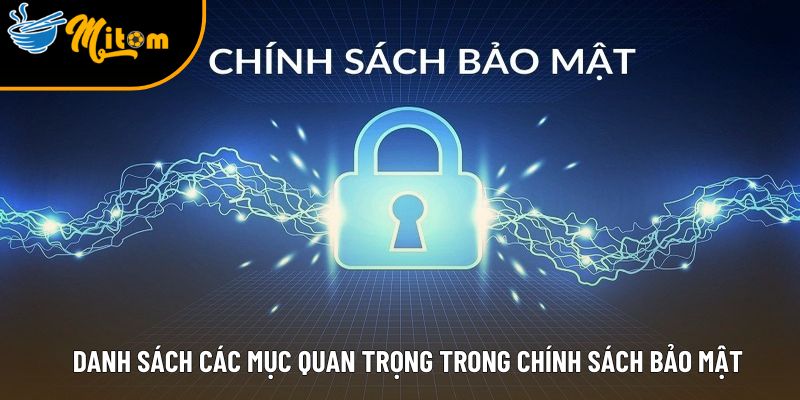 danh sach cac muc quan trong trong chinh sach bao mat