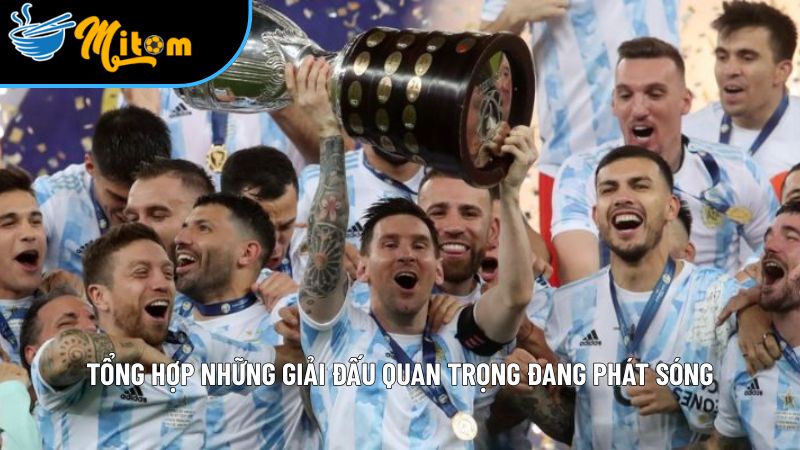 gioi thieu cac giai dau tai mitomtv