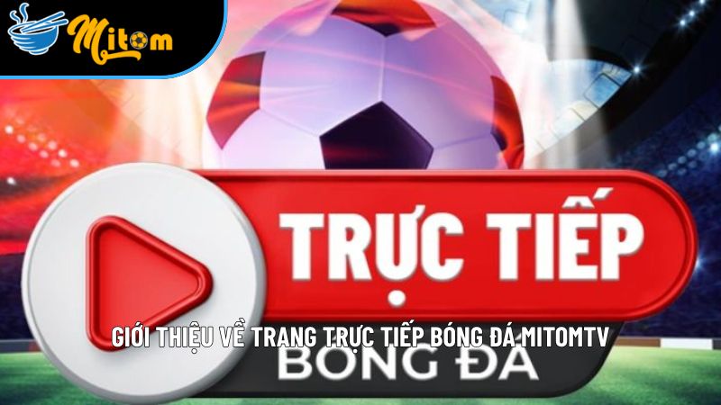 gioi thieu mitomtv truc tiep bong da