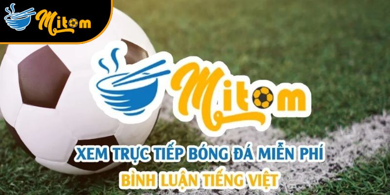 link truy cap vao trang mitomtv