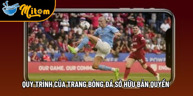 top cac quy trinh cua trang truc tiep bong da so huu ban quyen